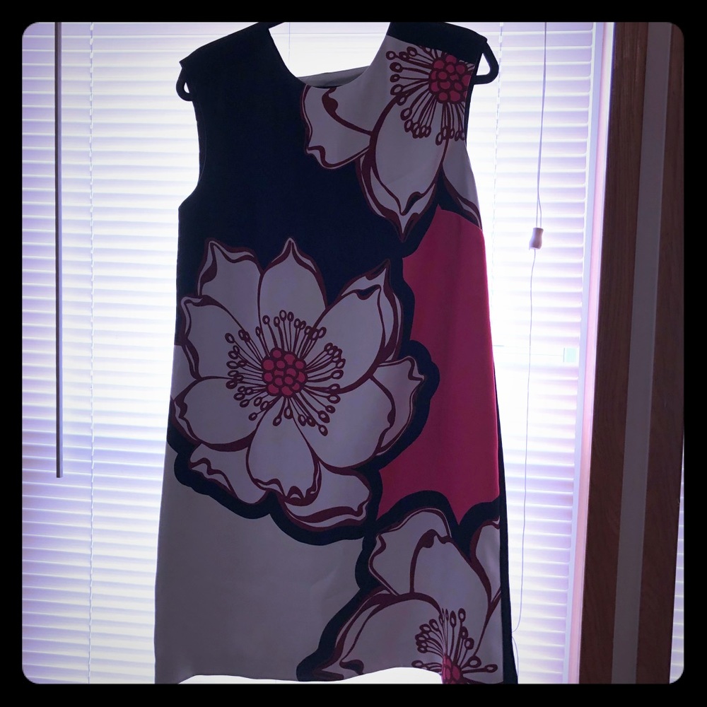 Ted Baker Size 4 Dress in great condition